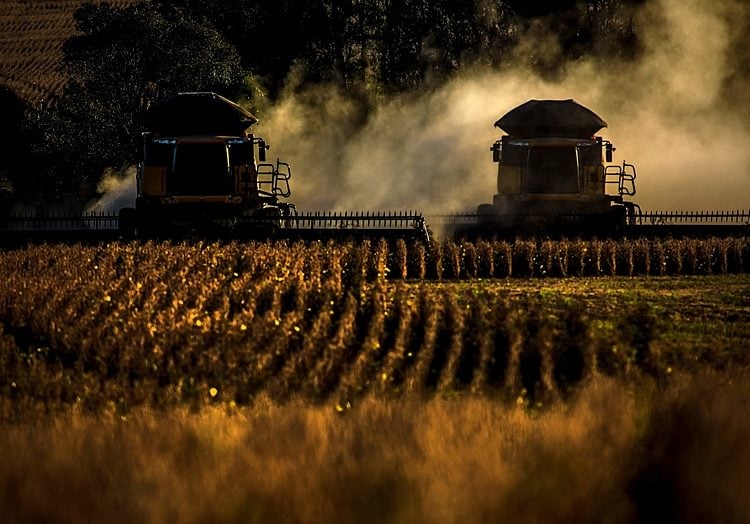 Agricultura voltada à exportação transforma a comida em vilã da inflação no Brasil