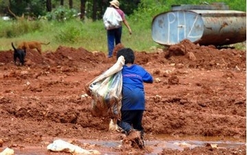 Bolsonaro significa tragédia social e ecológica para o país, diz pesquisadora