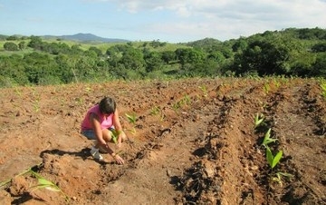 Retrocesso em políticas públicas agrava fome no Brasil