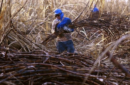 Brasil deixou de arrecadar R$ 2 bilhões com isenções a agrotóxicos em 2018