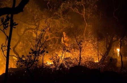 Quase 90% dos brasileiros defende preservação da Amazônia, segundo Ibope