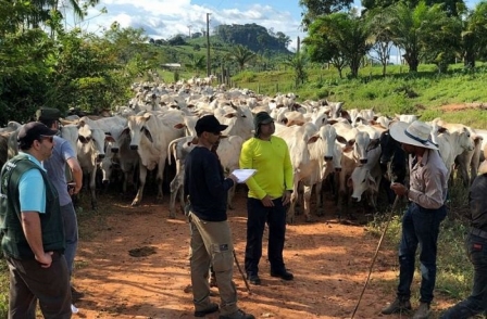 Lista suja é divulgada, mas desmonte freia combate à escravidão na pandemia